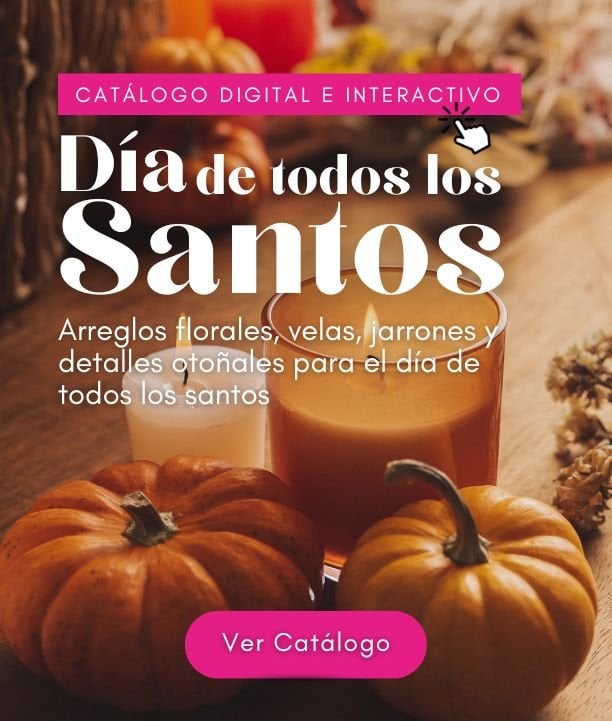 ¡Descubre los Tesoros de Este Mes!
